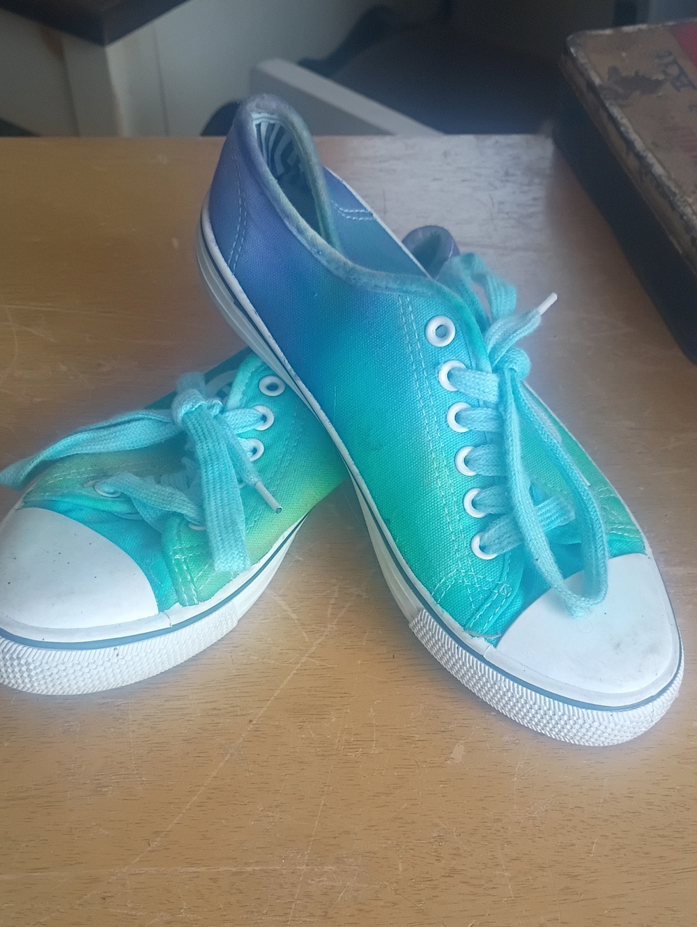 Aqua Teal Gradient Canvas Sneakers